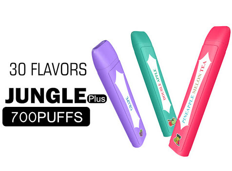 Одноразки Fizzi Jingle Plus 700 тяг